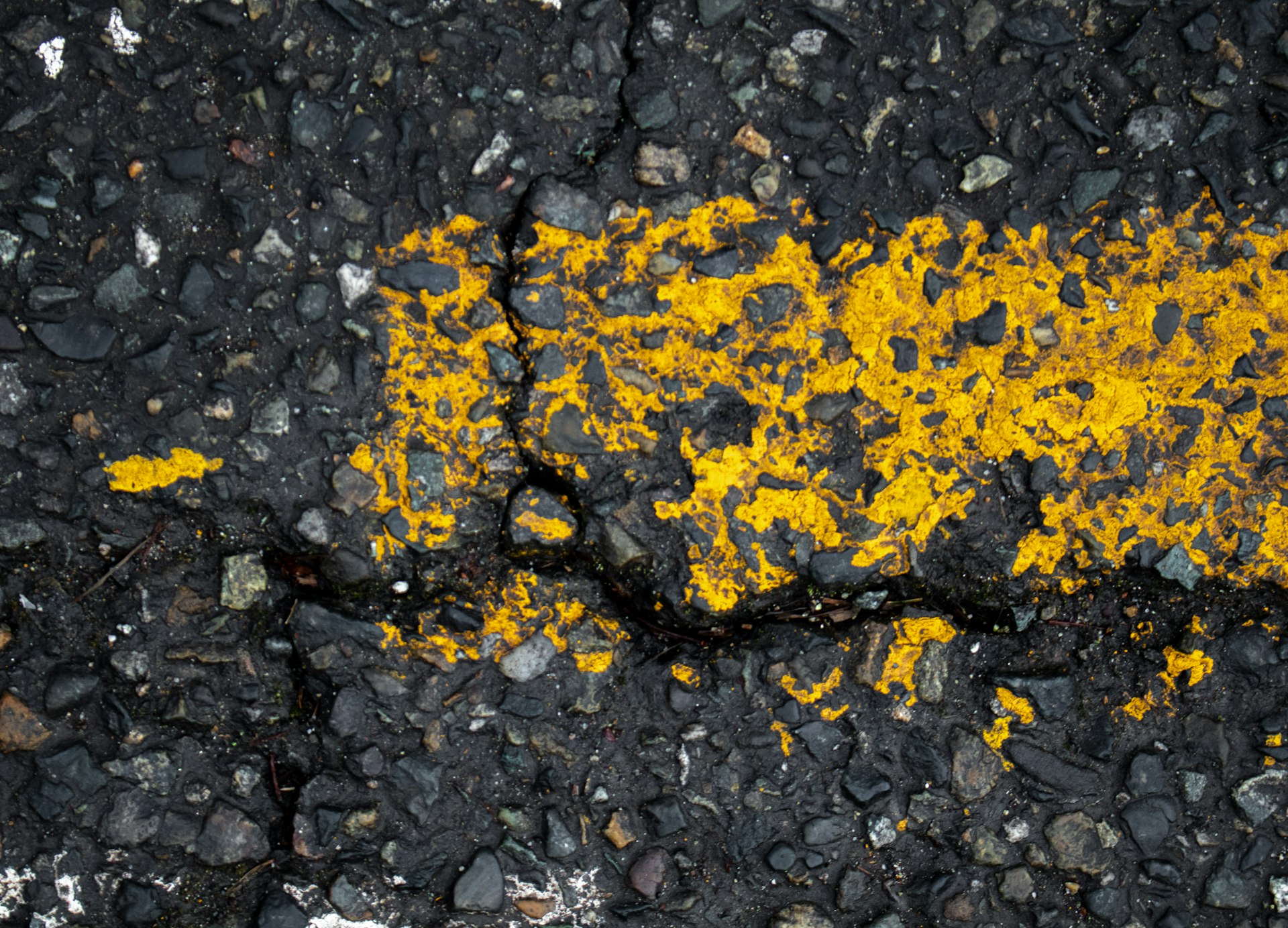 Cracked asphalt with yellow road markings.
